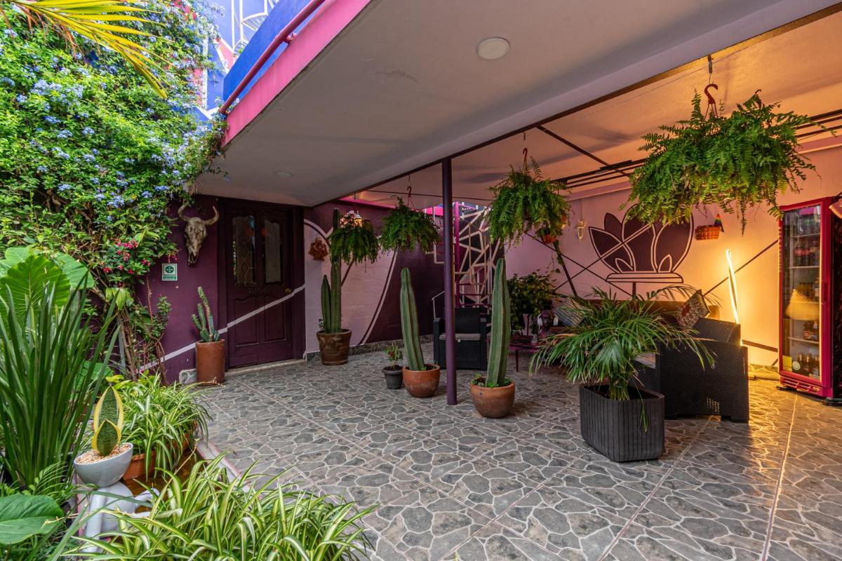 Casa Maguey - Housity