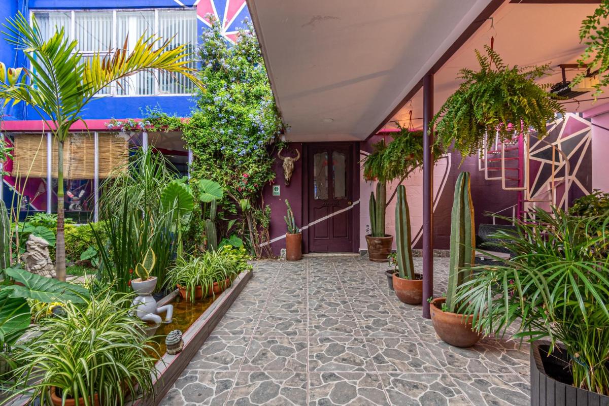 Casa Maguey - Housity