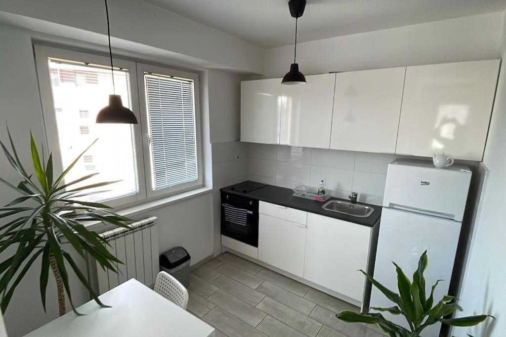New modern Rooftop Apartment-FREE PRIVATE PARKING - Housity