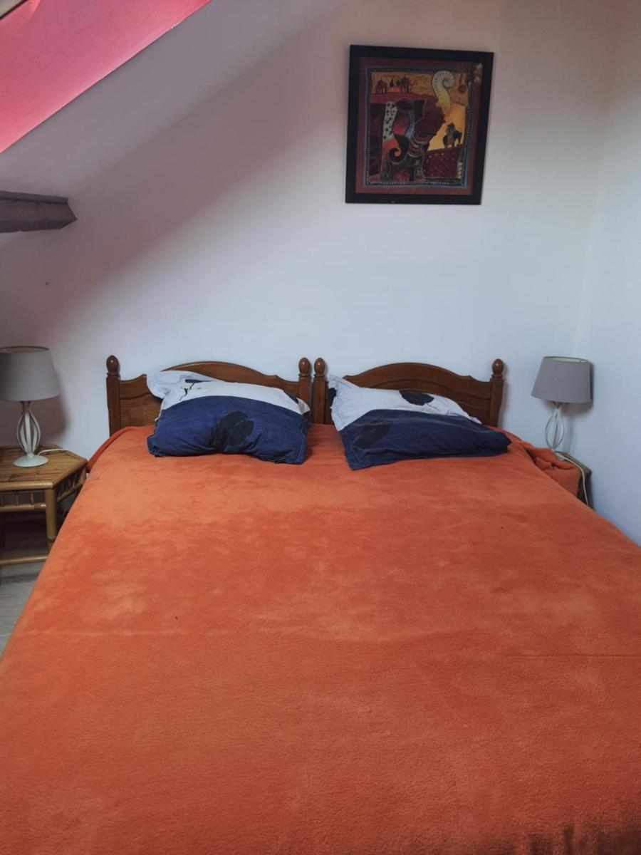 Domi et les chats - Housity