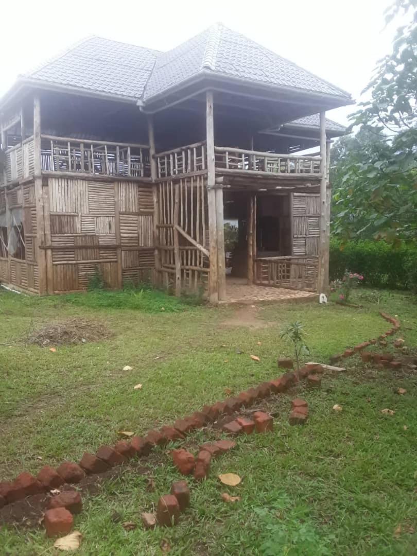 Kibale Forest Cottages And Campsite - Housity