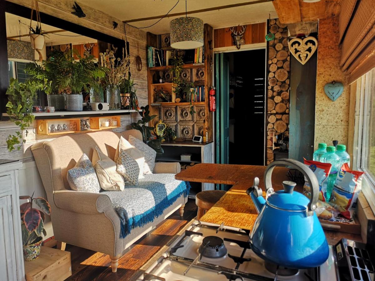 Glamp in Style in an Unique Horsebox Home - Housity