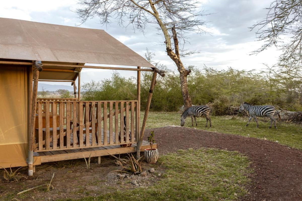 Africa Safari Lake Manyara located inside a wildlife park - Housity