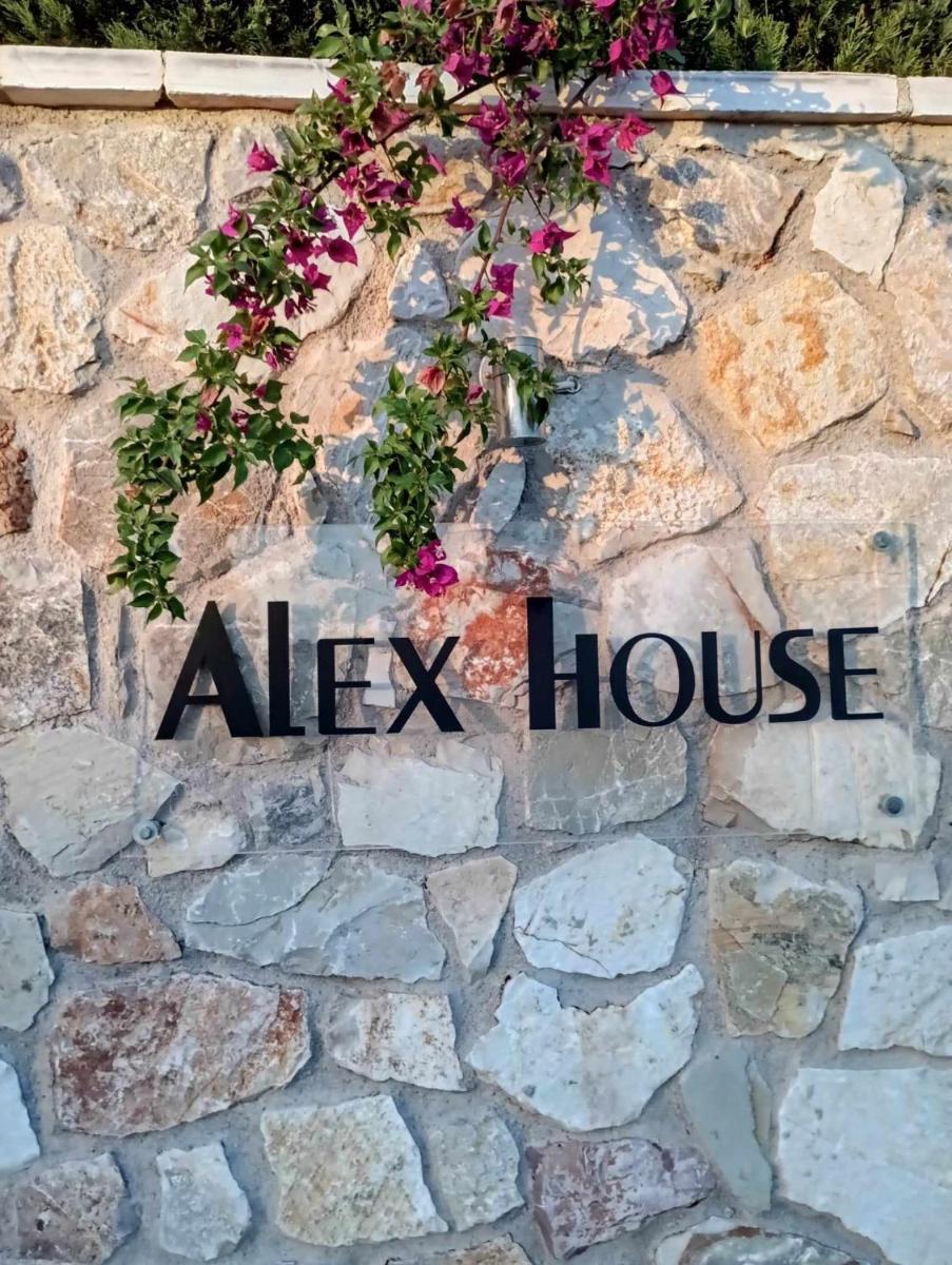 Alex House - Housity