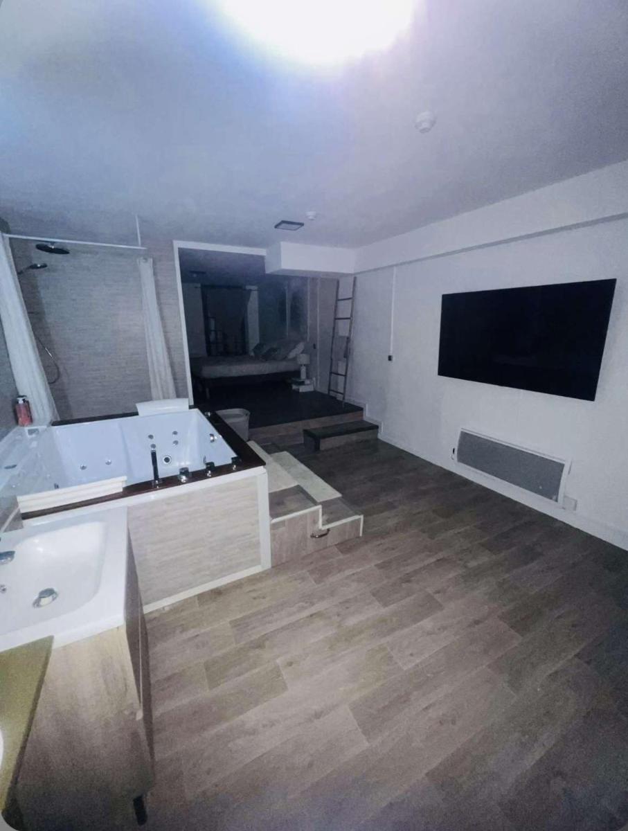 Loft ravissant 45m2 Jacuzzi RVB NIGHT 2 - Housity