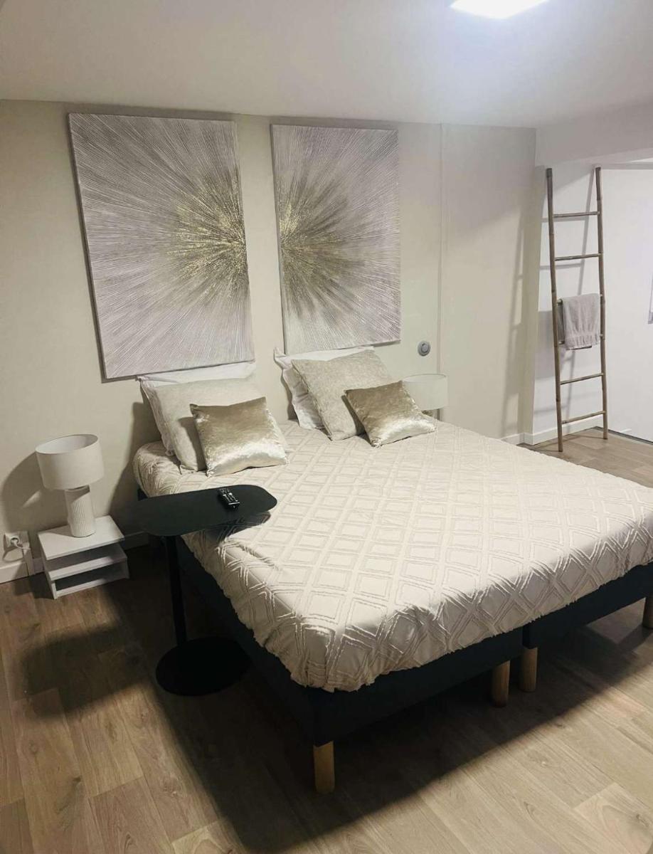 Loft ravissant 45m2 Jacuzzi RVB NIGHT 2 - Hizvo
