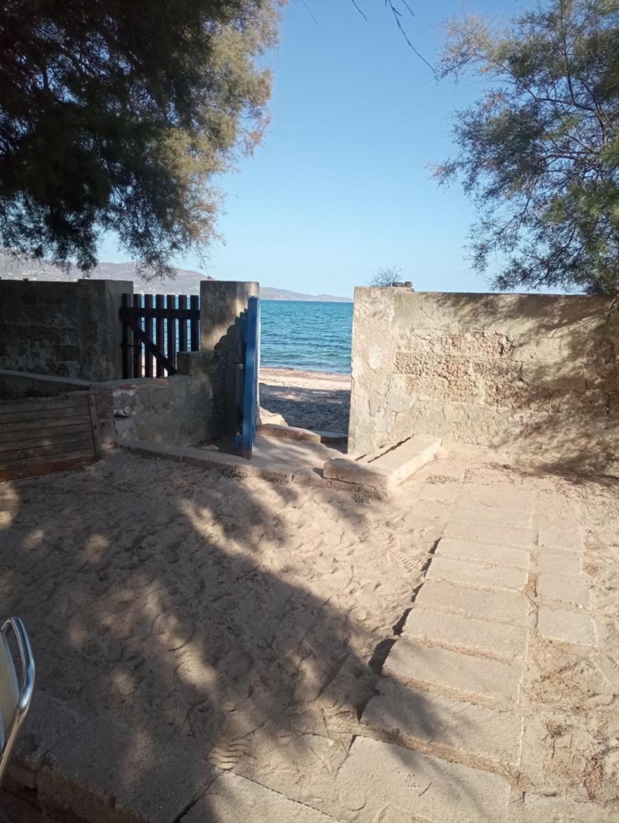 Nadina - Housity