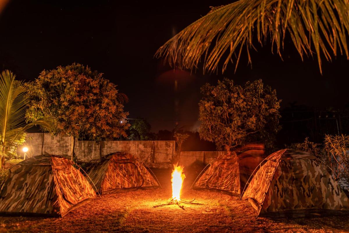 Dandeli Tiger Cottages - Housity