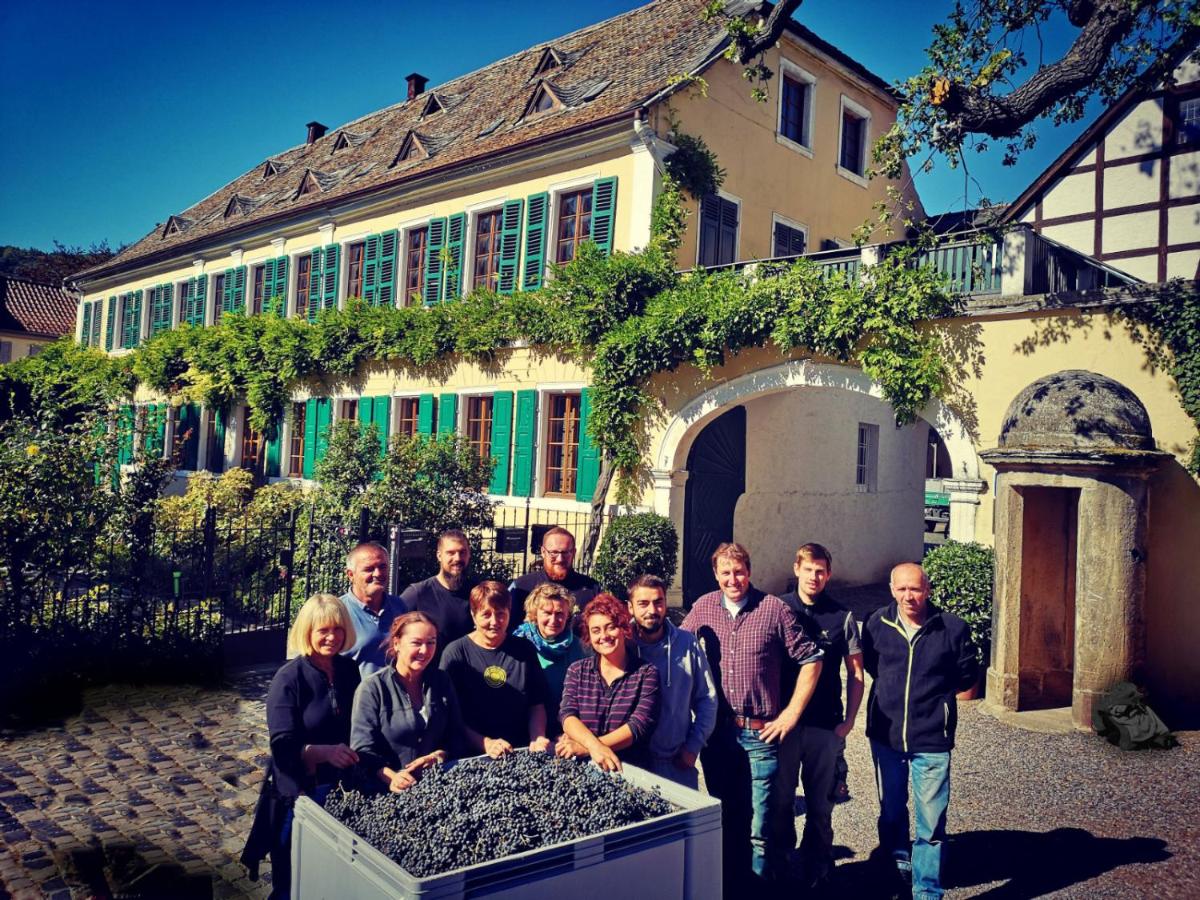 Unterkunft im Weingut Fitz-Ritter - Housity