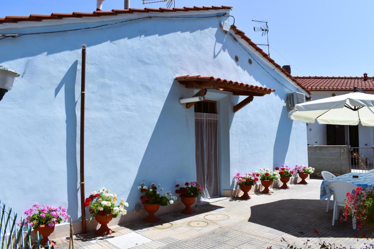 Villino La Perla Azzurra- Marina di Pisa - Housity