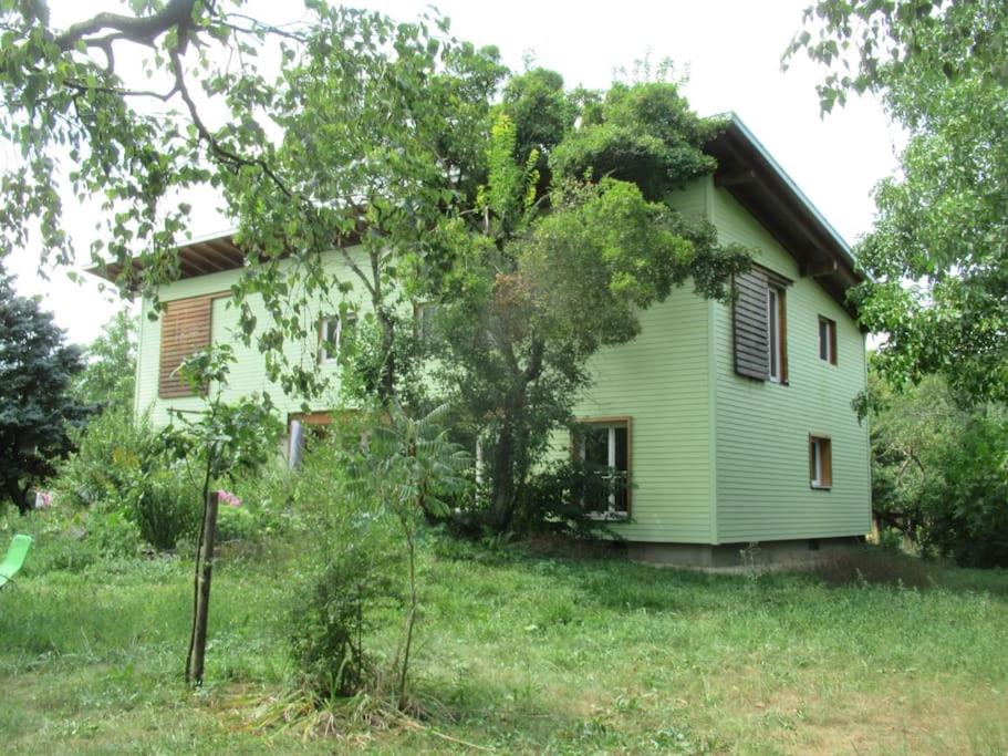 Ferienwohnung im Grünen - Housity