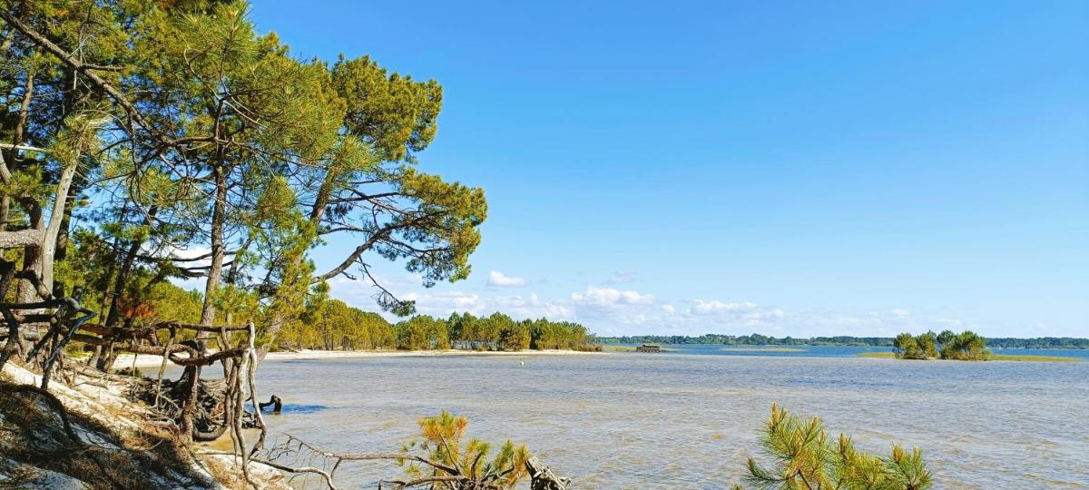 Maison de vacances 2 chambres plages lac à 600m proche Dune du Pilat Océan dans propriété privée - Housity