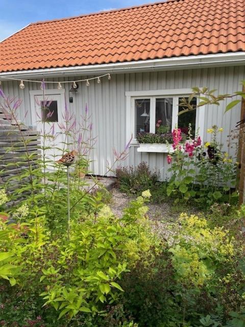 Hatty's Guesthouse - Housity