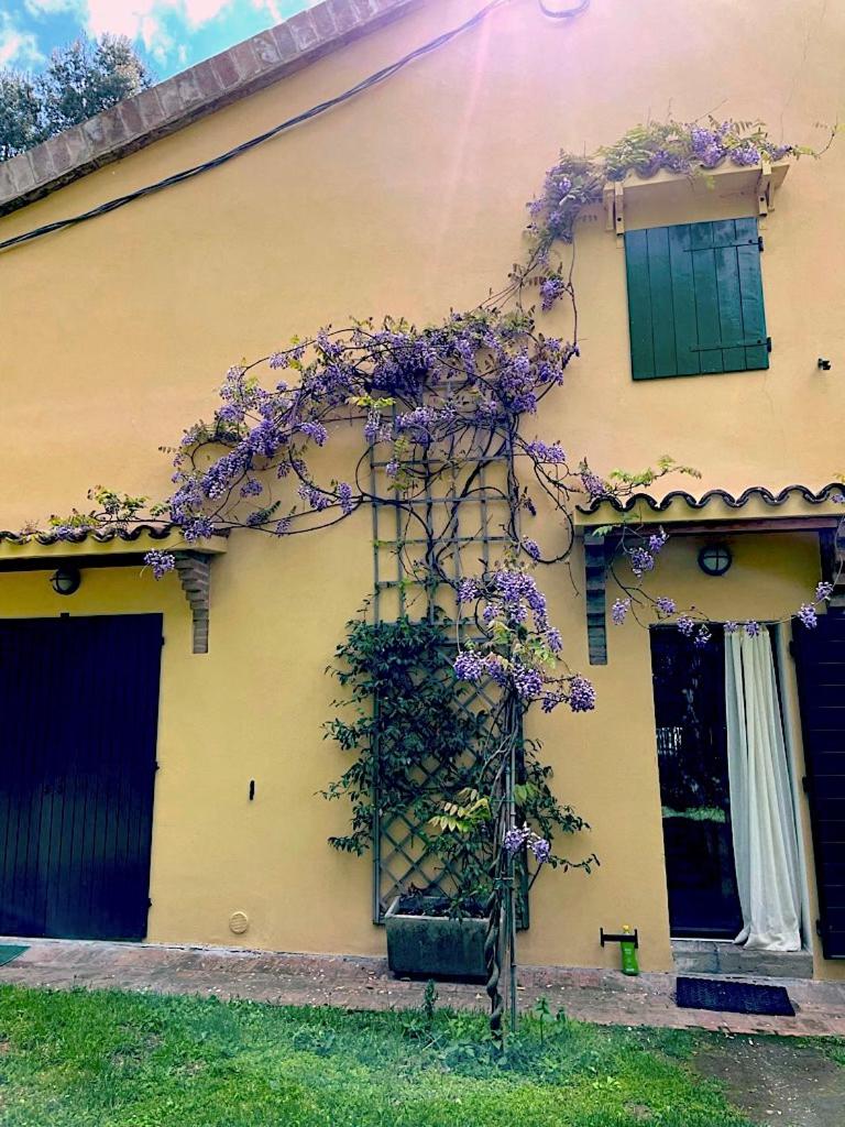Casale del monte, Pesaro - Housity