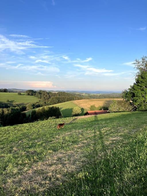 Schwarzwald Escape - Housity
