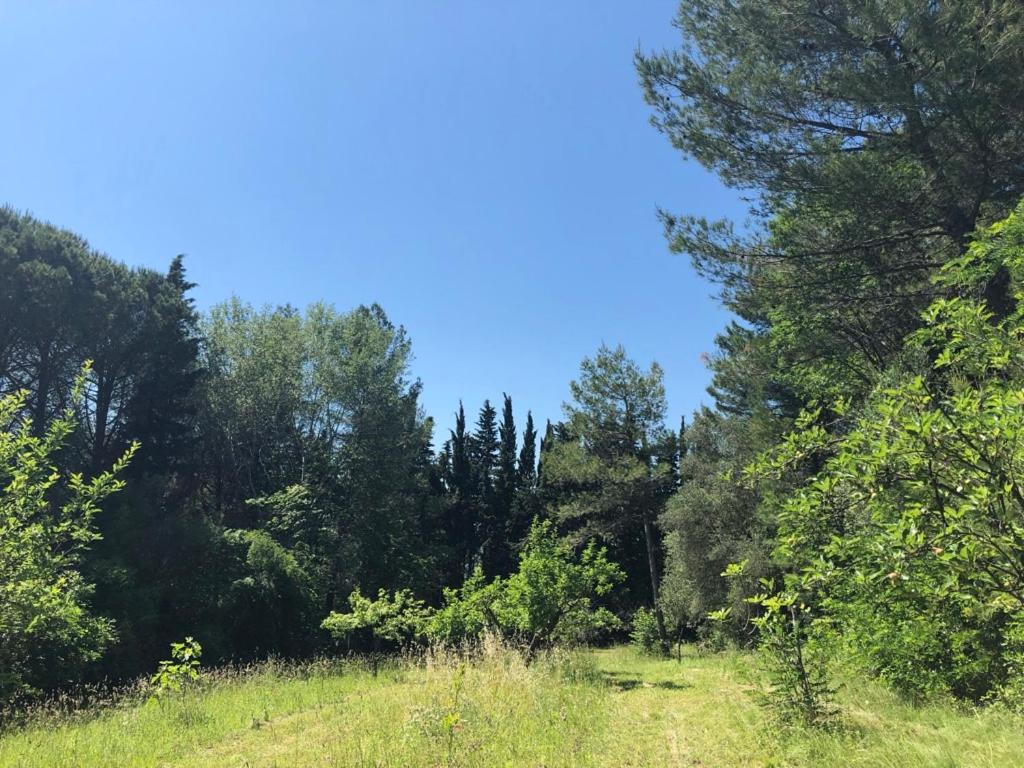 Casale del monte, Pesaro - Housity