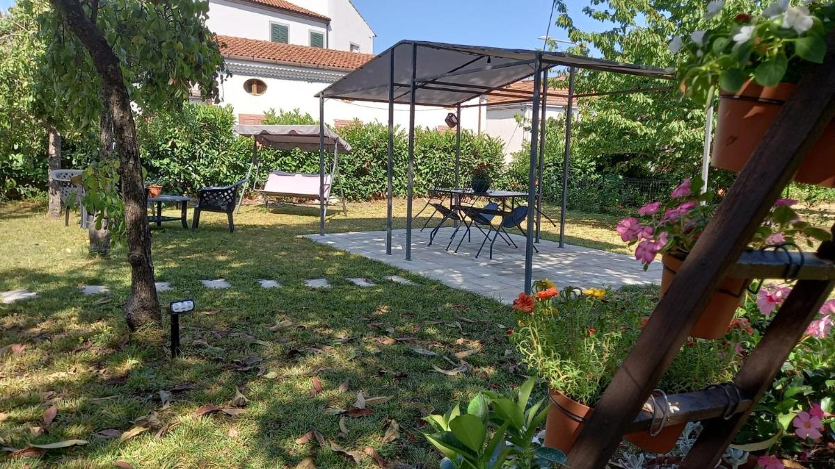 L' antico nespolo - Housity