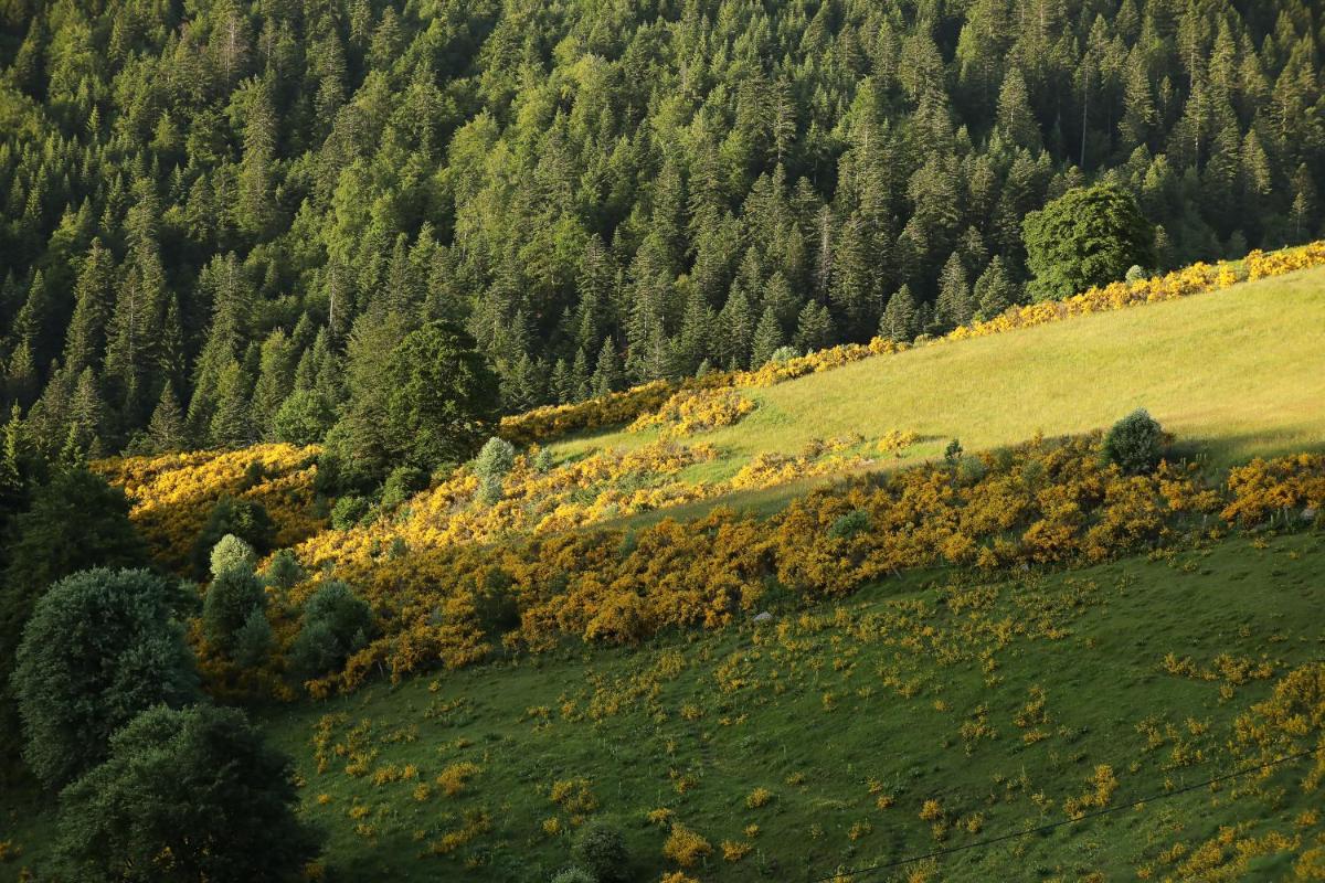 Paysage naturel près de l'hôtel