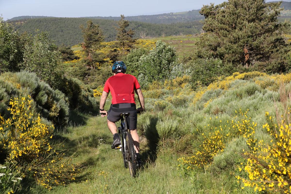 Vélo sur le terrain de l'établissement Logis Hotel Spa Restaurant Le Provence ou dans les environs