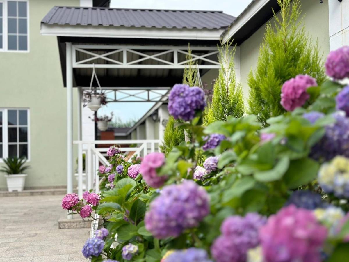 Villa Yard - Housity
