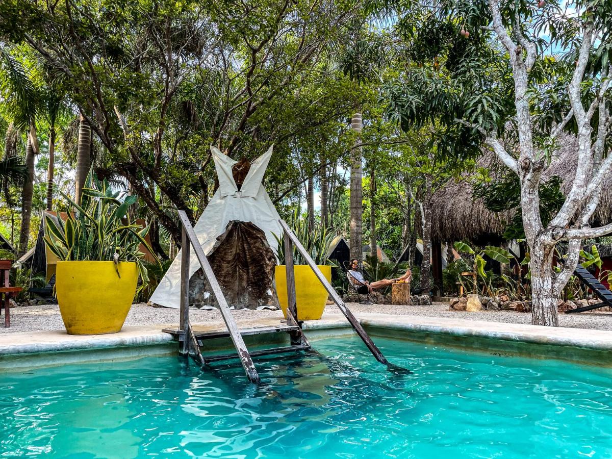 Bufo Alvarius Sanctuary Bacalar - Housity