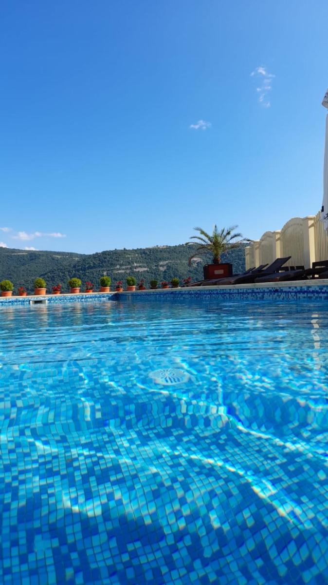 Pensiunea Alex & Restaurant - Housity