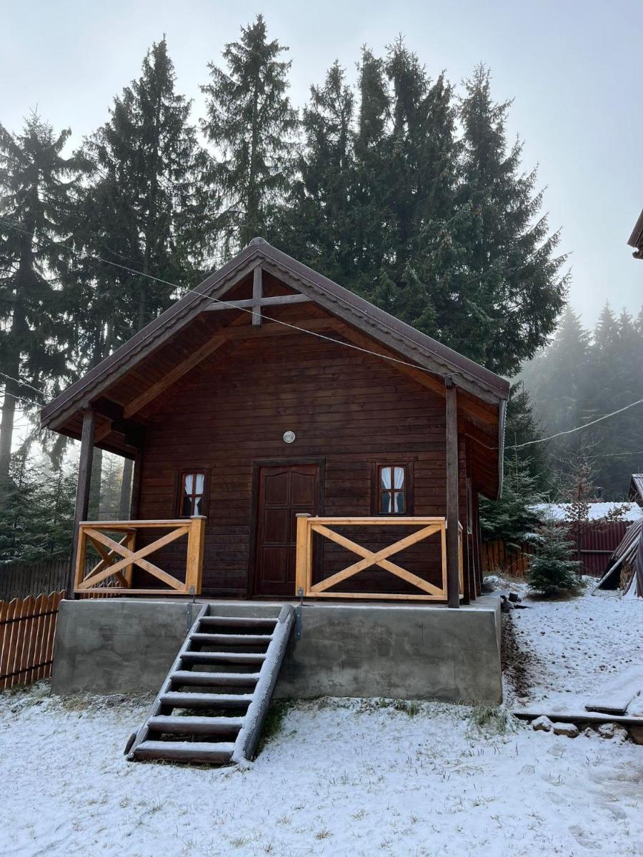 Forest Guest House 2 - Housity