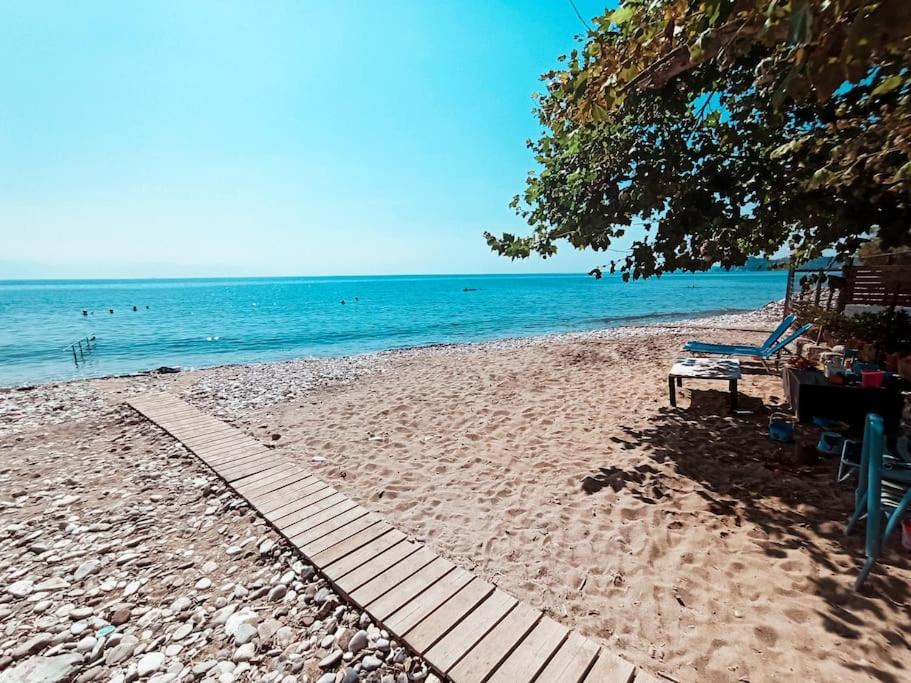 Agios Andreas Beach Villas - Housity