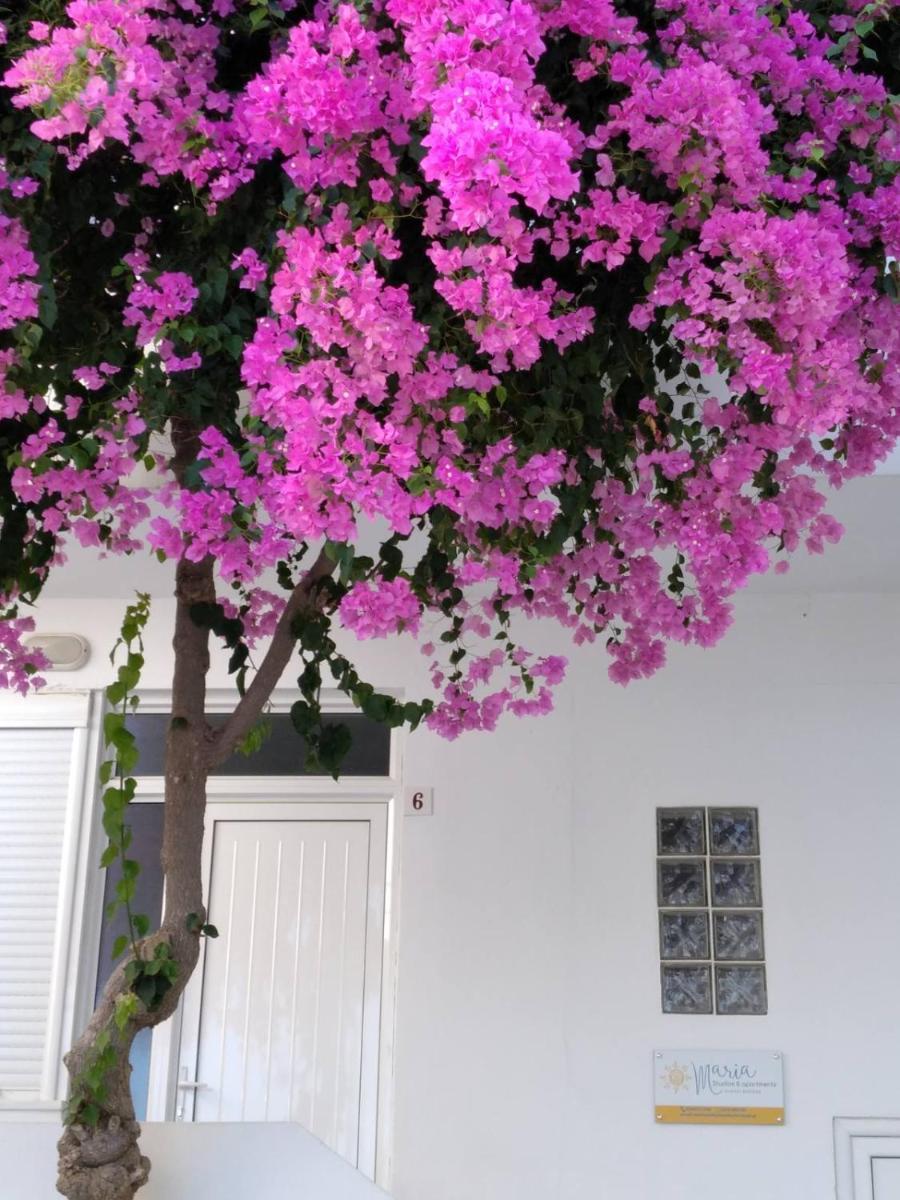 Maria Studios and Apartments - Housity