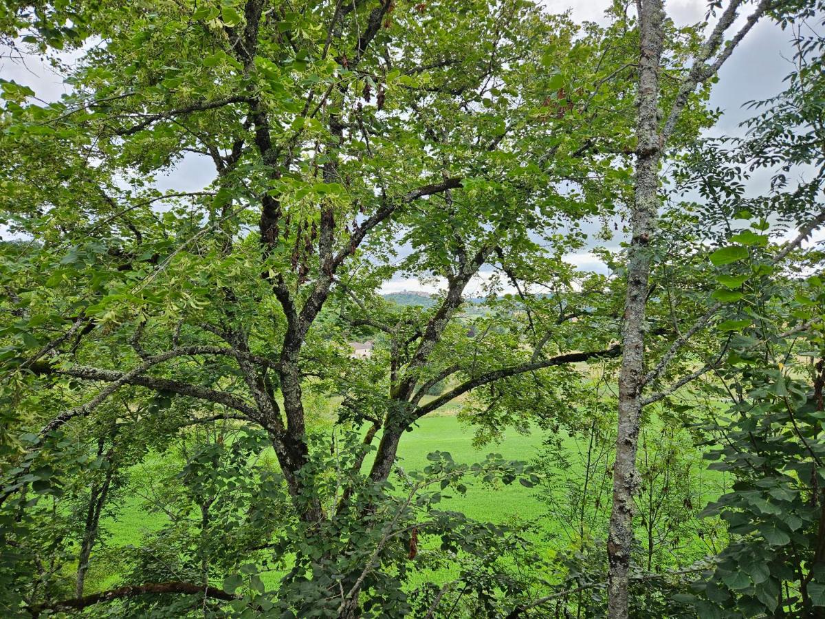 Paysage naturel près de l'hôtel