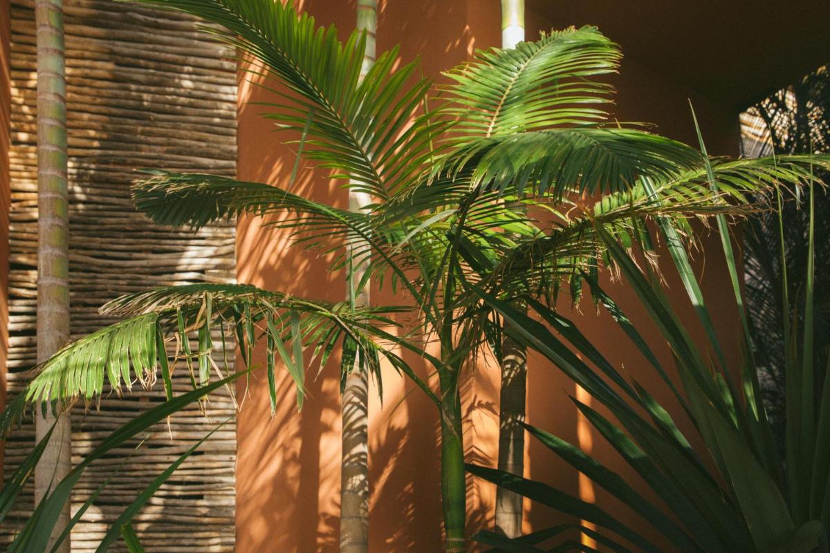 Imagen de la galería de Salobre Hotel Resort & Serenity, en Salobre