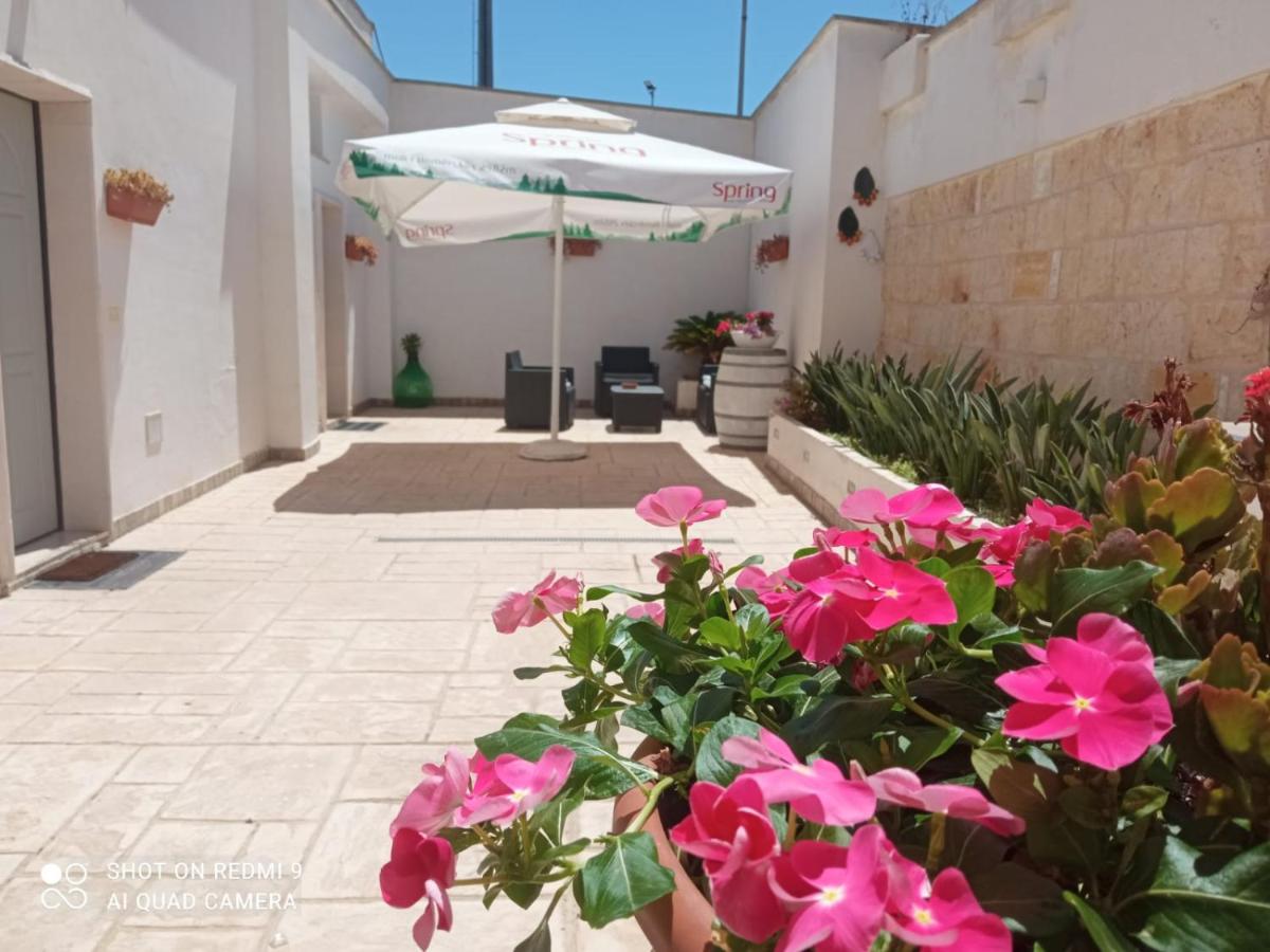 La conigliera - Housity