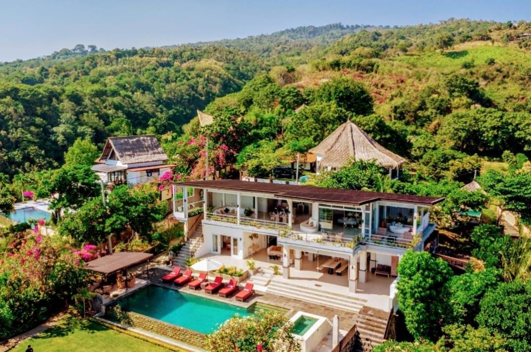Dolphin Villa Lovina - Housity