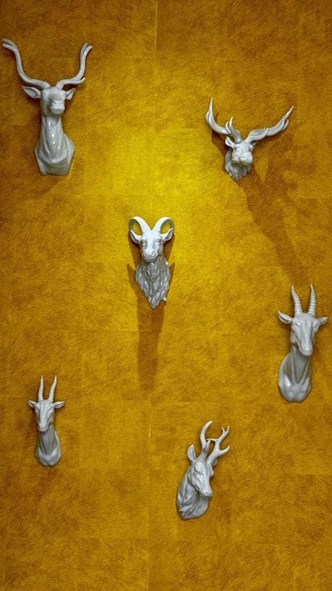 Animaux dans l'hôtel ou à proximité