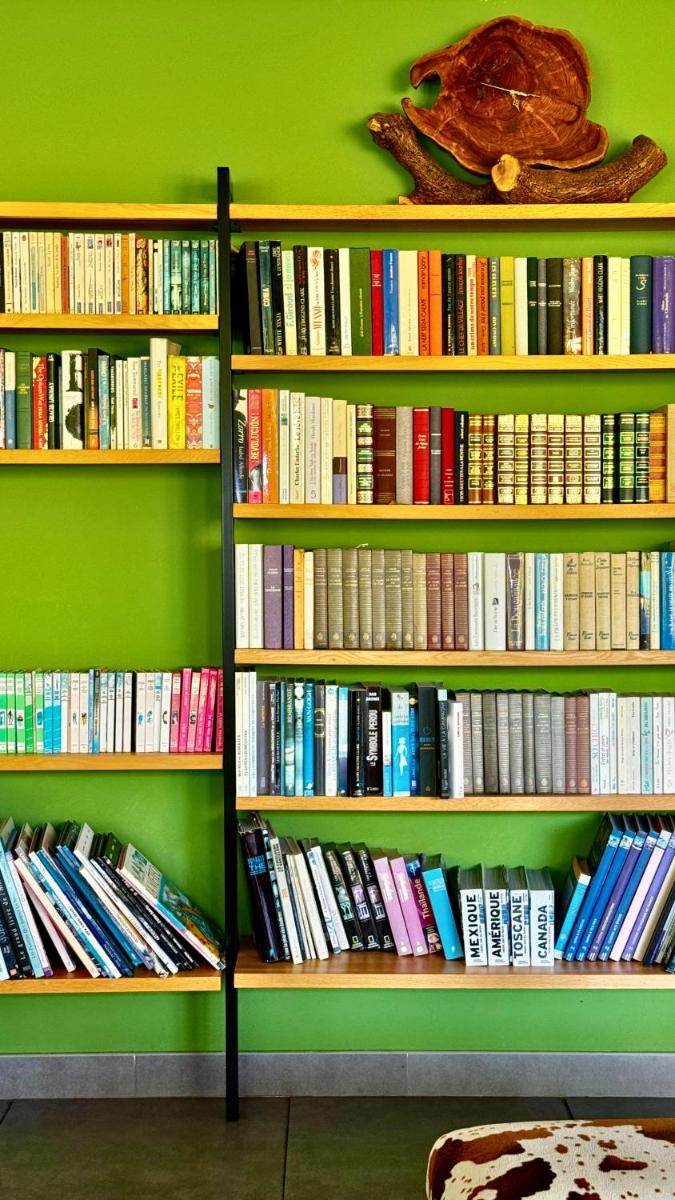 Bibliothèque dans l'hôtel