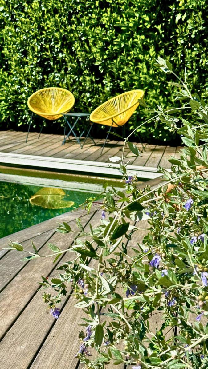 Jardin de l'établissement Artemisia Boutique Hotel