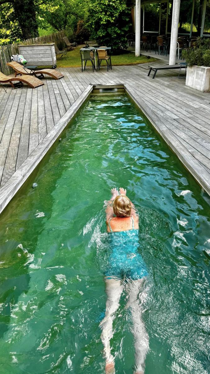 Piscine de l'établissement Artemisia Boutique Hotel ou située à proximité