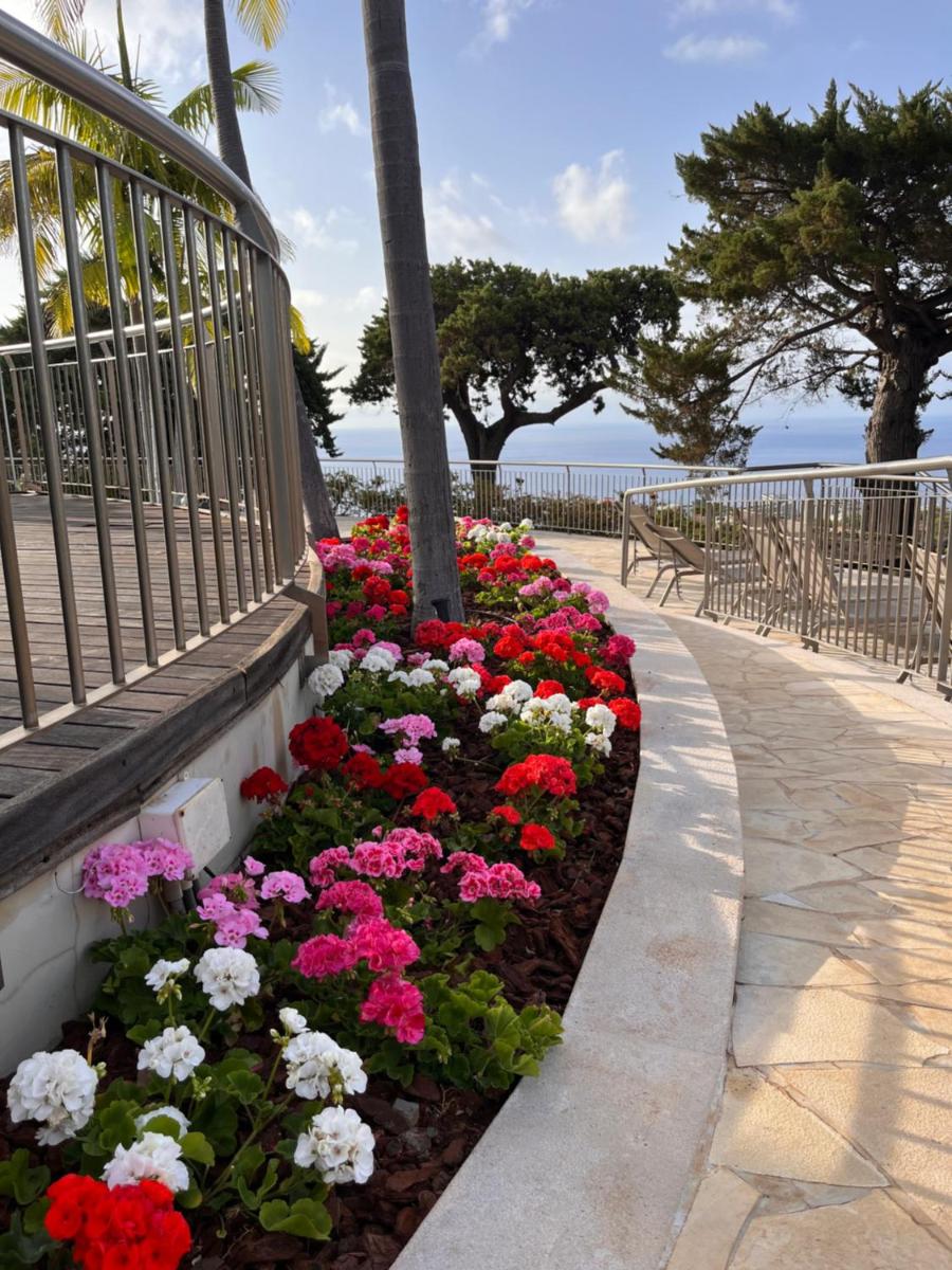 Quinta Funchal Gardens - Adults Only - Housity