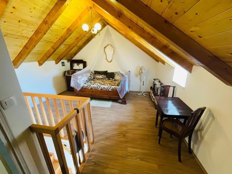 Villa Seget Donji - Housity