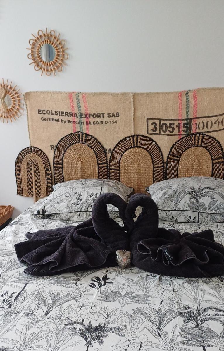 COUP DE COEUR Studio - Housity