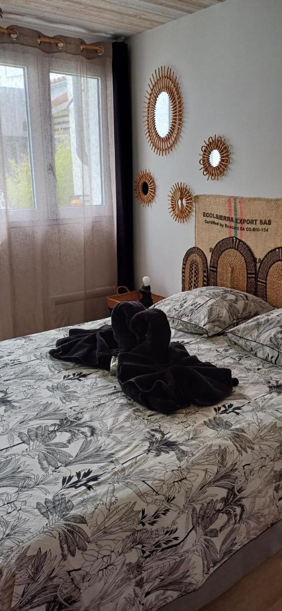 COUP DE COEUR Studio - Housity
