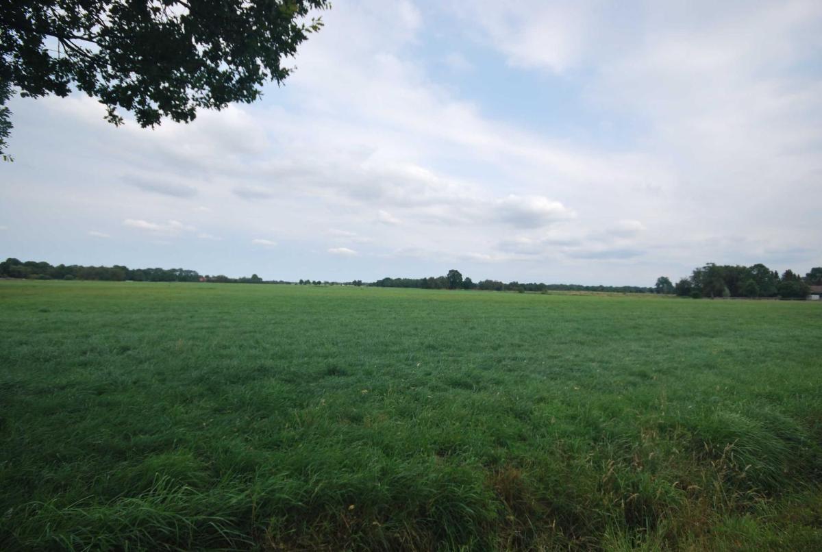 Ferienhof Wiesenblick 35519 - Housity