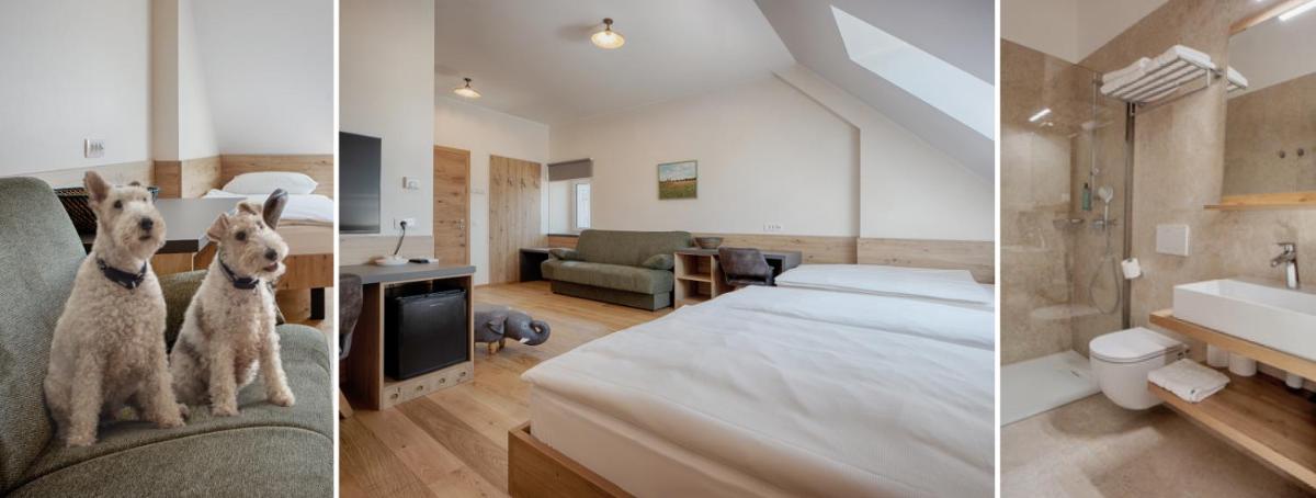 Guesthouse Turšič - Housity