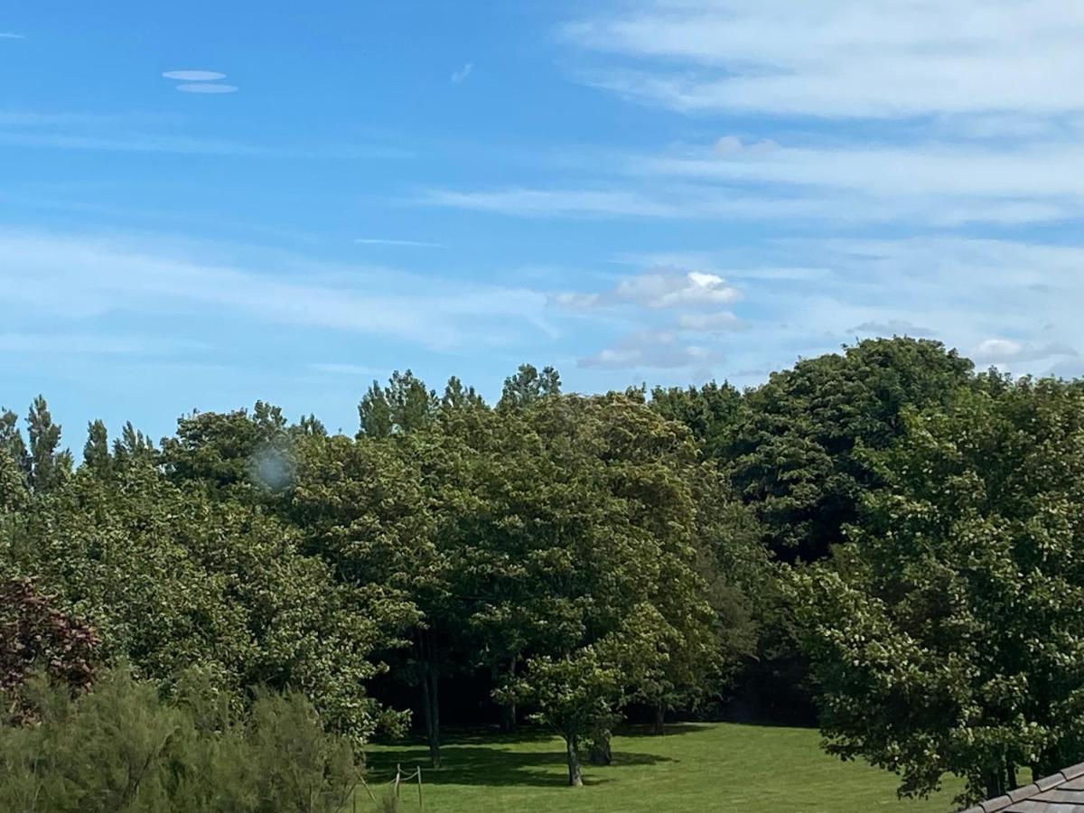 Paysage naturel près de l'hôtel