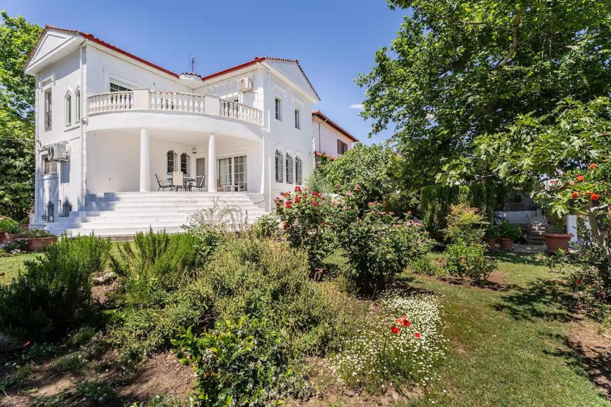 Home Katerina - Housity