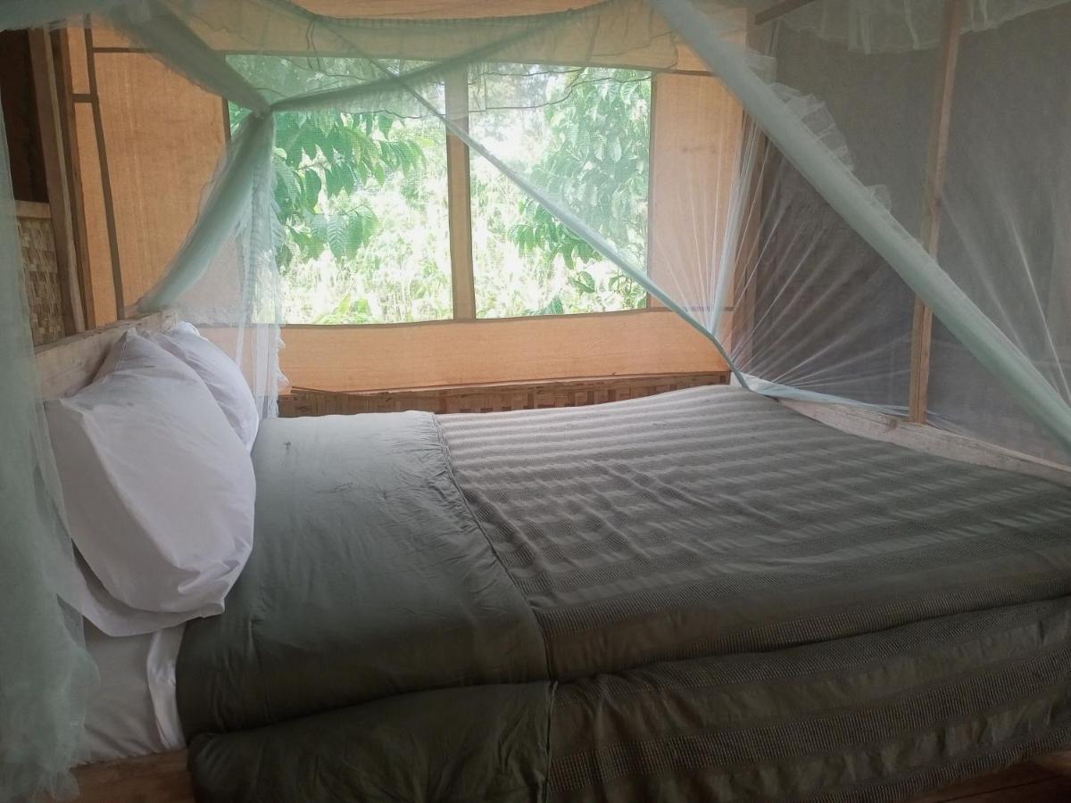 Kibale Tented Camp - Housity