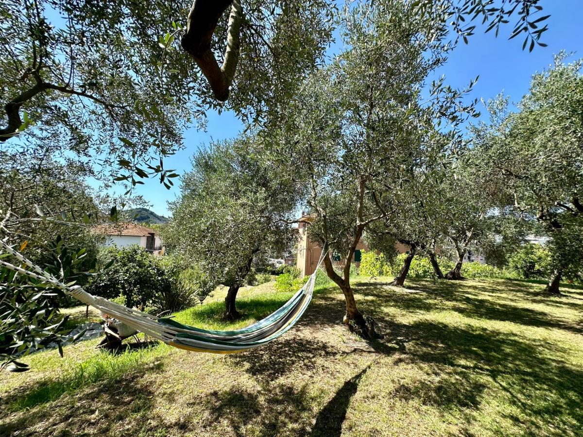 Agriturismo Uliveto Bartolomeo - Hizvo