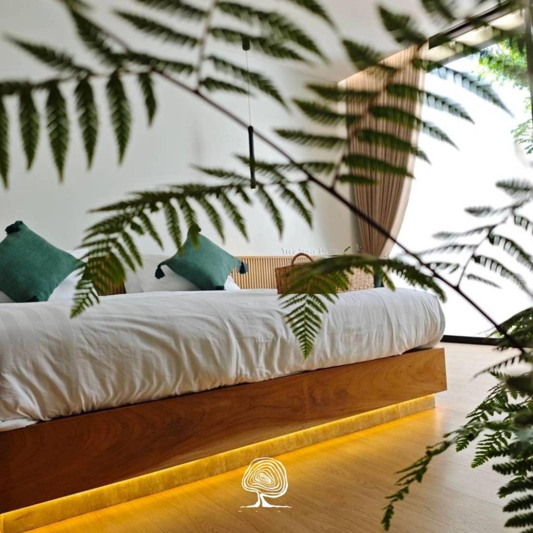Tree Space Living - Housity