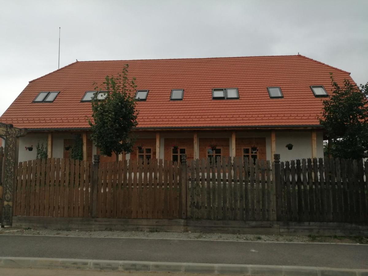 Vass Panzio - Housity
