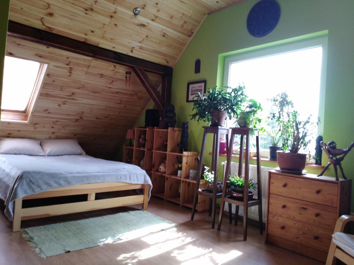 Dom na Kaszubach / House in Kashubia - Housity